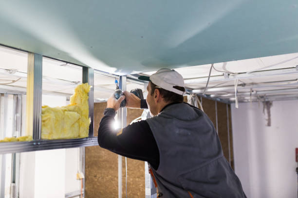 Best Geographic-Specific Insulation Services in Arrowhead Beach, NC