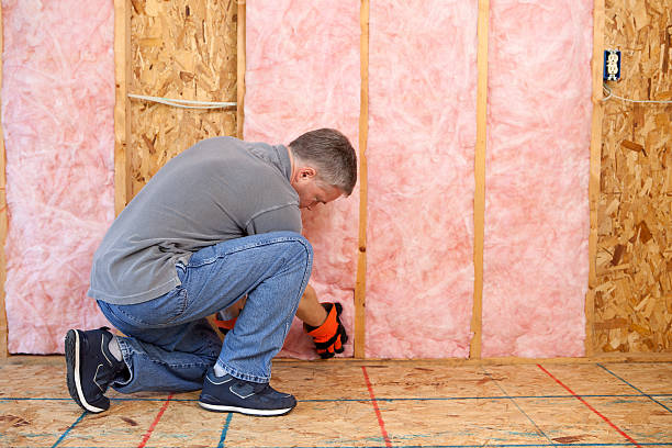 Best DIY Insulation Kits and Guidance in Arrowhead Beach, NC
