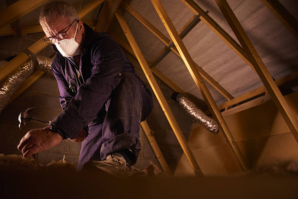 Best Residential Insulation in Arrowhead Beach, NC